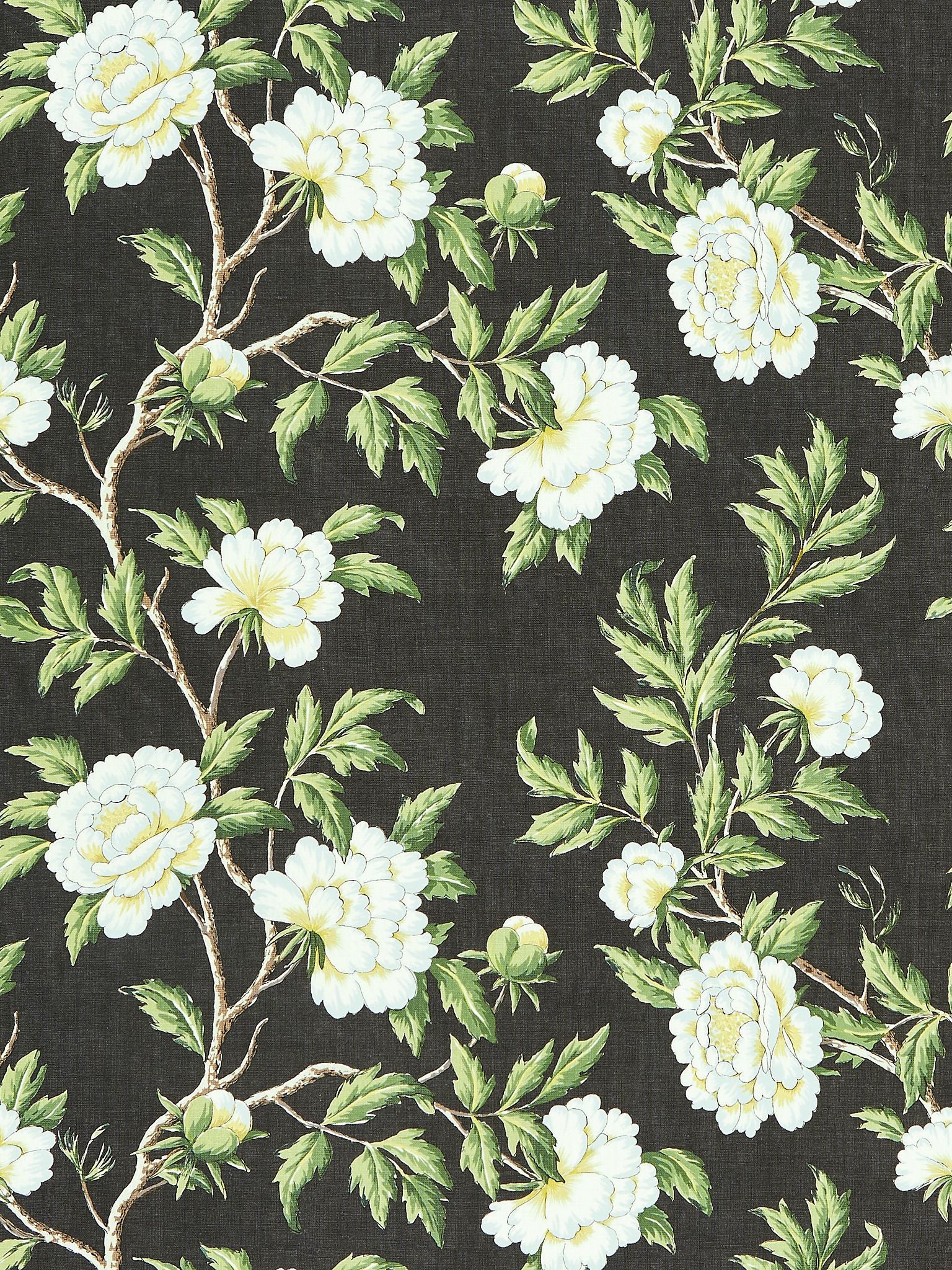 SCALAMANDRE  PEONIA LINEN PRINT FABRIC ONYX   - SC 000316616