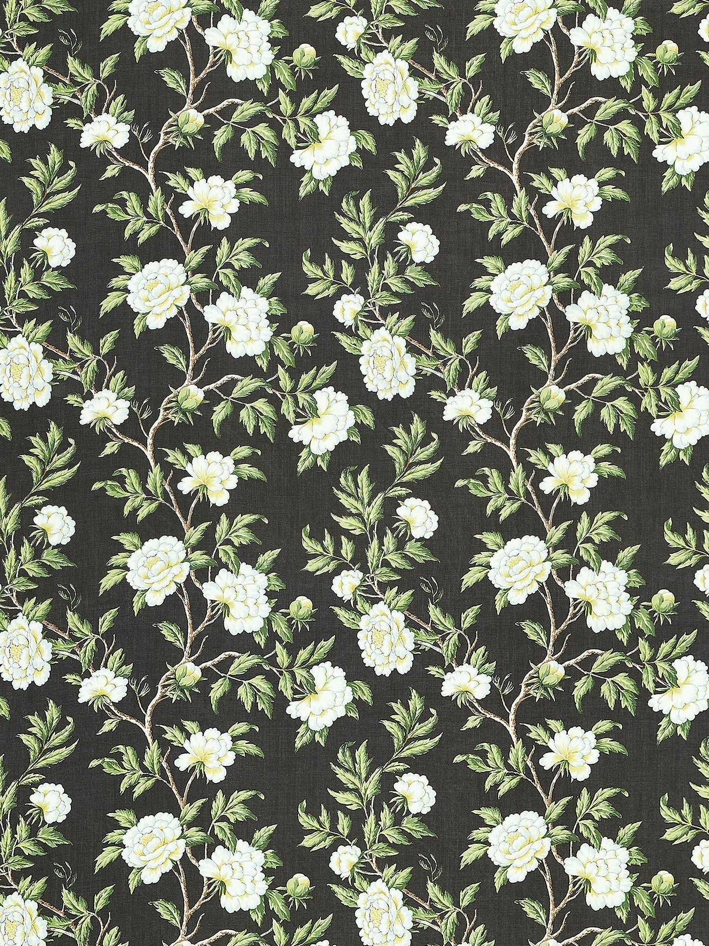 SCALAMANDRE  PEONIA LINEN PRINT FABRIC ONYX   - SC 000316616 NEW SKU # SC166160003