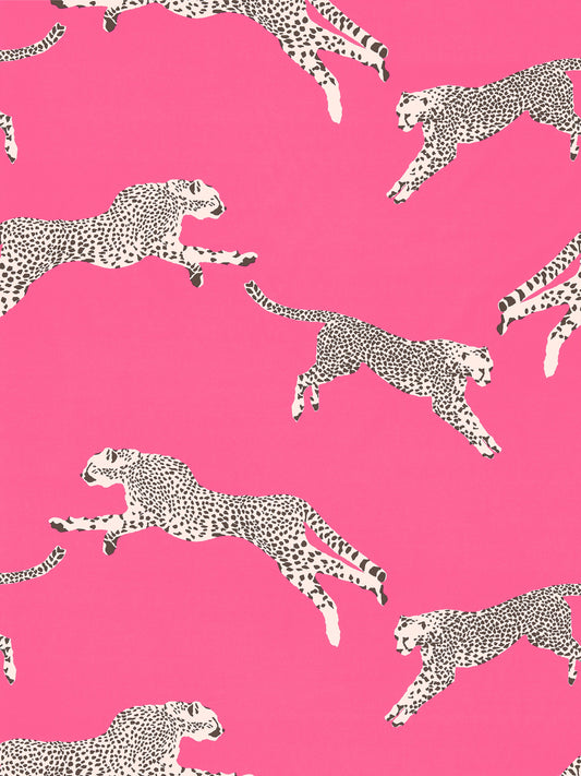 SCALAMANDRE  LEAPING CHEETAH COTTON PRINT FABRIC BUBBLEGUM   - SC 000316634