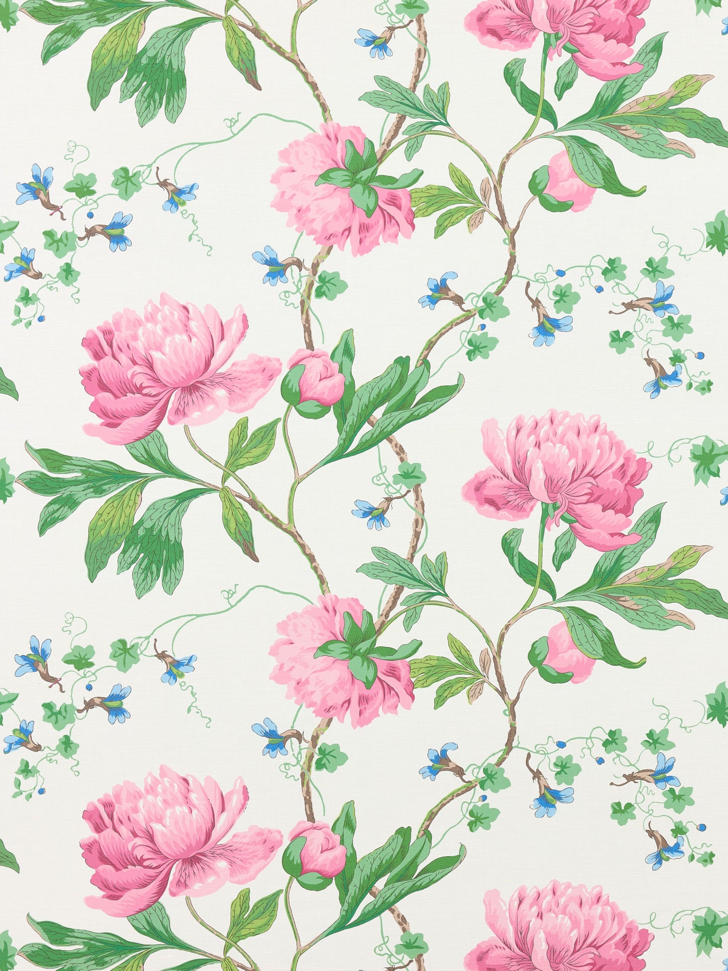 SCALAMANDRE  ISADORA PRINT FABRIC PETAL   - SC 000316650