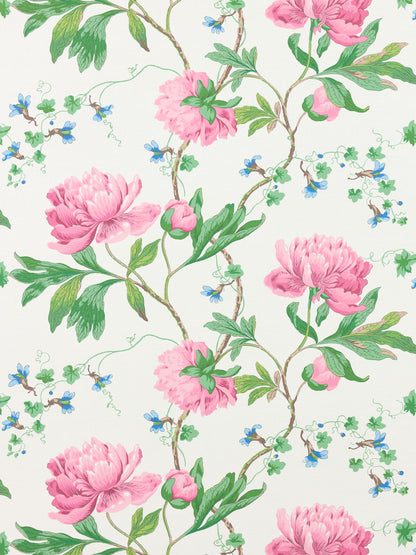 SCALAMANDRE  ISADORA PRINT FABRIC PETAL   - SC 000316650 NEW SKU # SC166500003