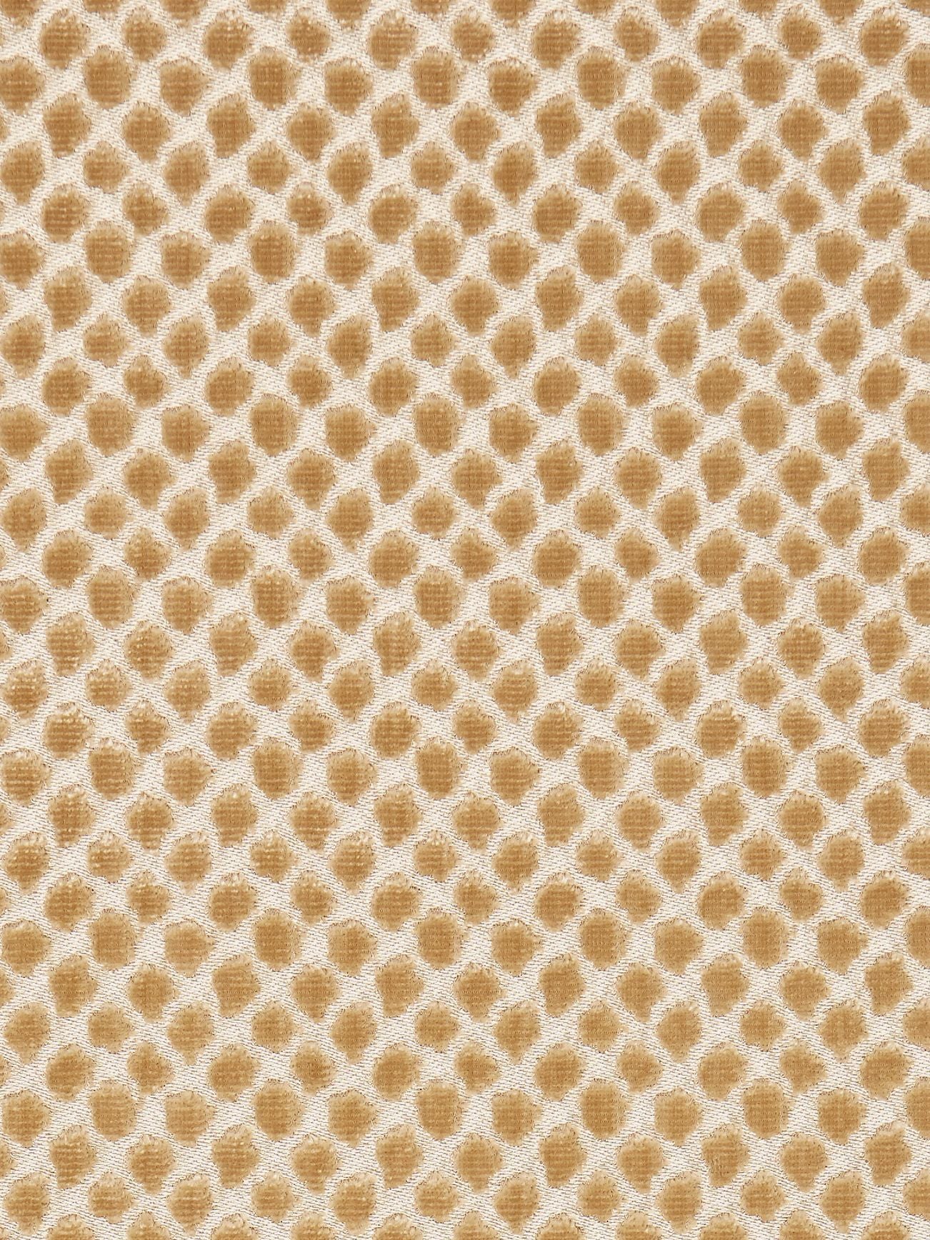 SCALAMANDRE  ETOSHA VELVET FABRIC PALOMINO   - SC 000327022