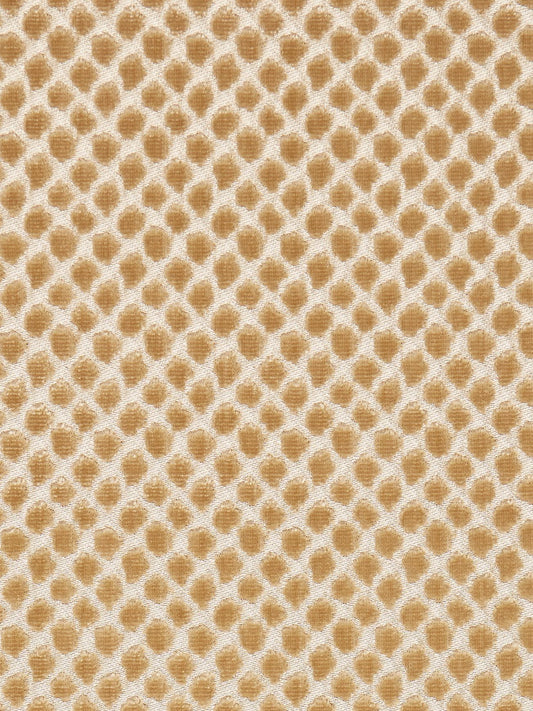 SCALAMANDRE  ETOSHA VELVET FABRIC PALOMINO   - SC 000327022