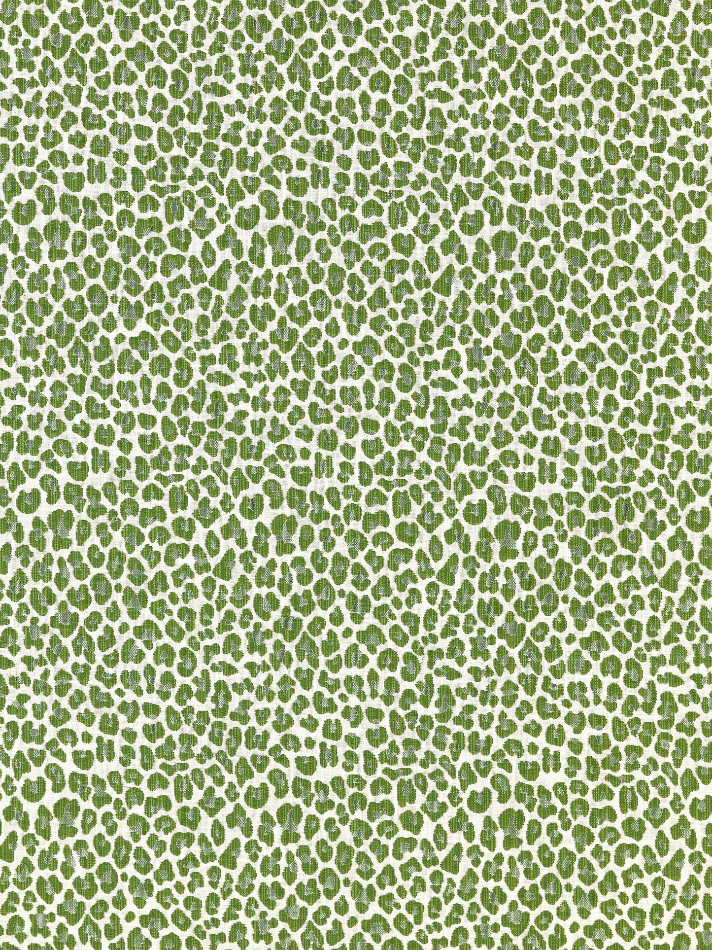 SCALAMANDRE  BACKYARD BENGAL FABRIC IVY   - SC 000327316