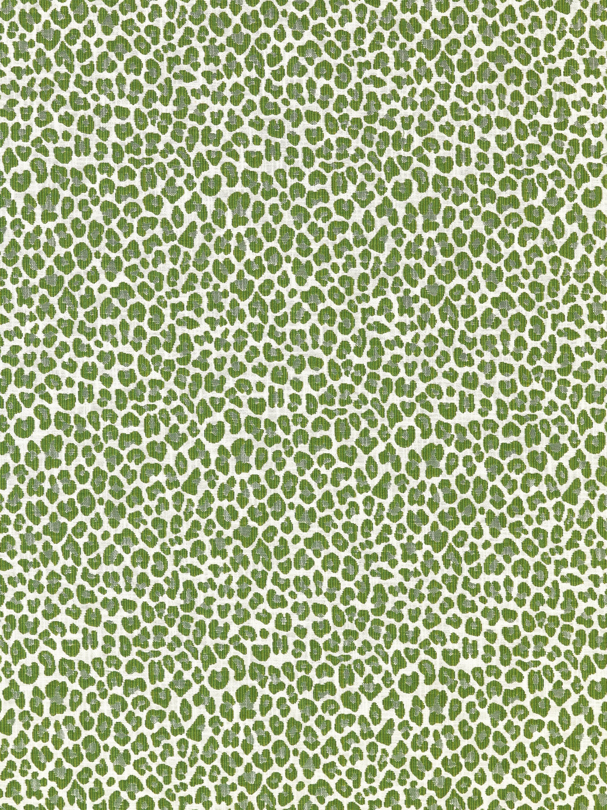 SCALAMANDRE  BACKYARD BENGAL FABRIC IVY   - SC 000327316