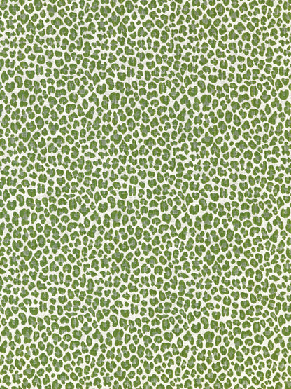 SCALAMANDRE  BACKYARD BENGAL FABRIC IVY   - SC 000327316 NEW SKU # SC273160003
