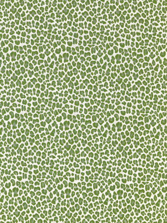 SCALAMANDRE  BACKYARD BENGAL FABRIC IVY   - SC 000327316