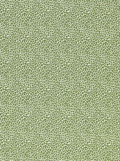 SCALAMANDRE  BACKYARD BENGAL FABRIC IVY   - SC 000327316 NEW SKU # SC273160003