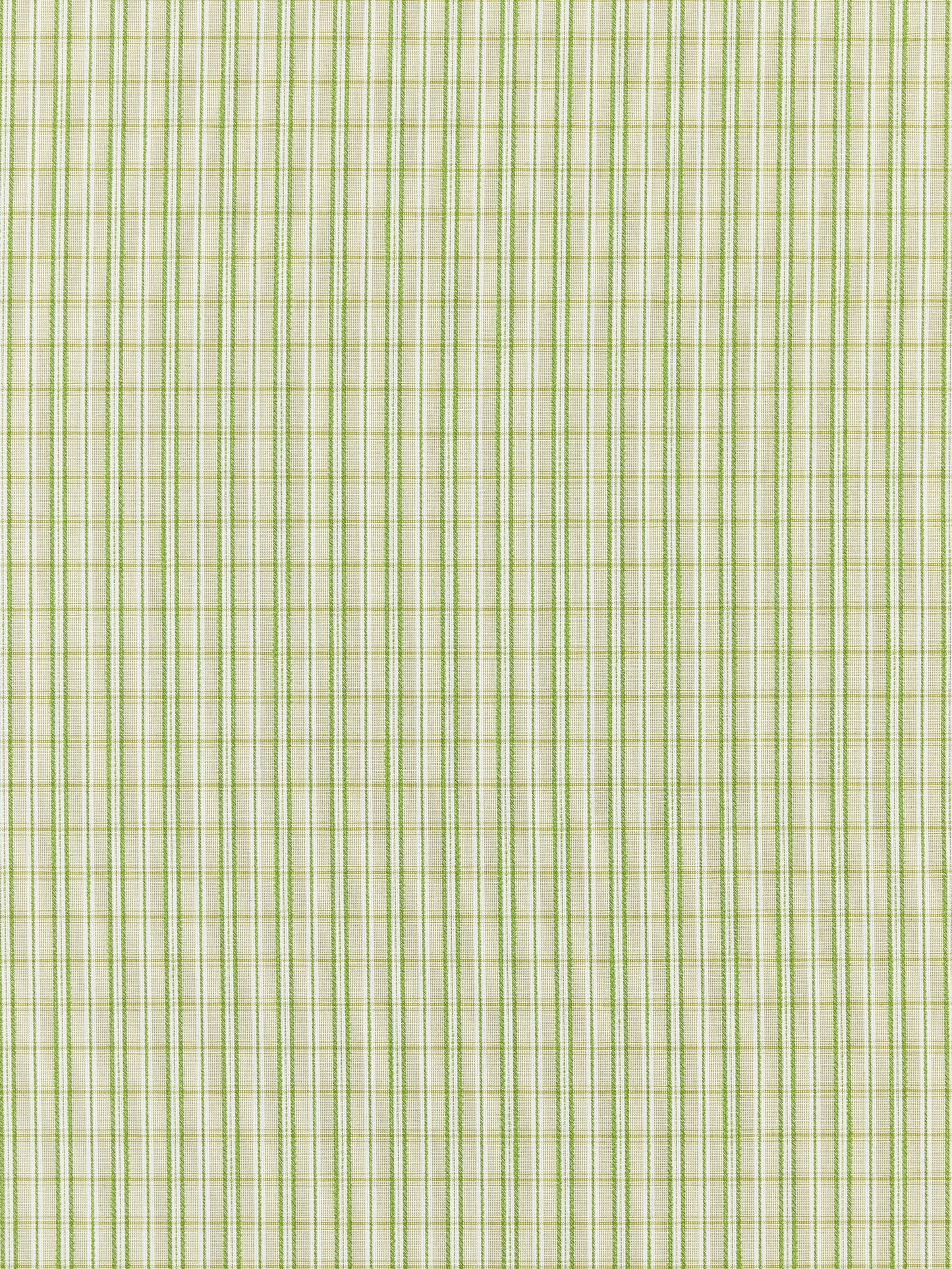 SCALAMANDRE  CHECK PLEASE - OUTDOOR FABRIC FERN   - SC 000327318