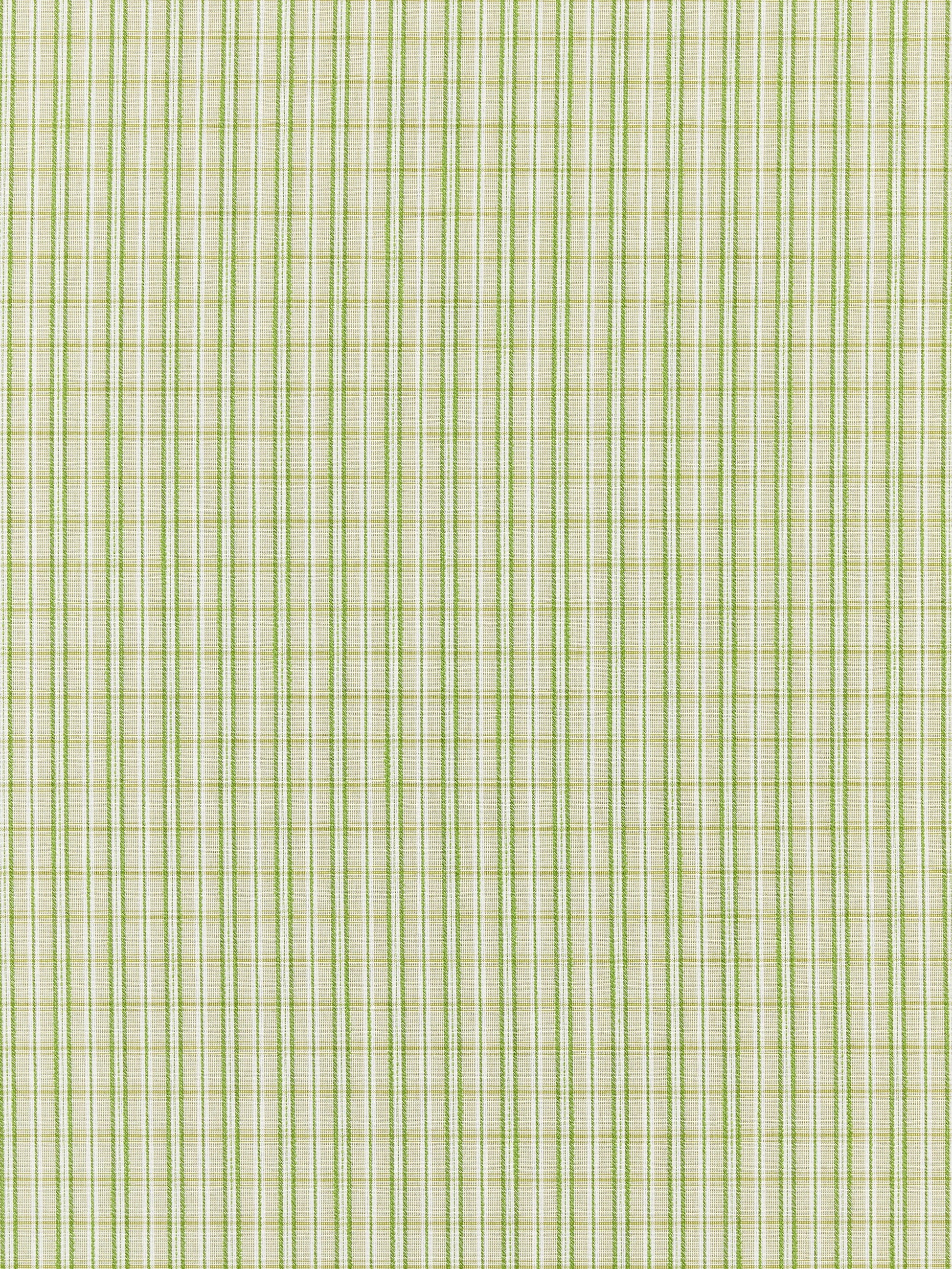 SCALAMANDRE  CHECK PLEASE - OUTDOOR FABRIC FERN   - SC 000327318