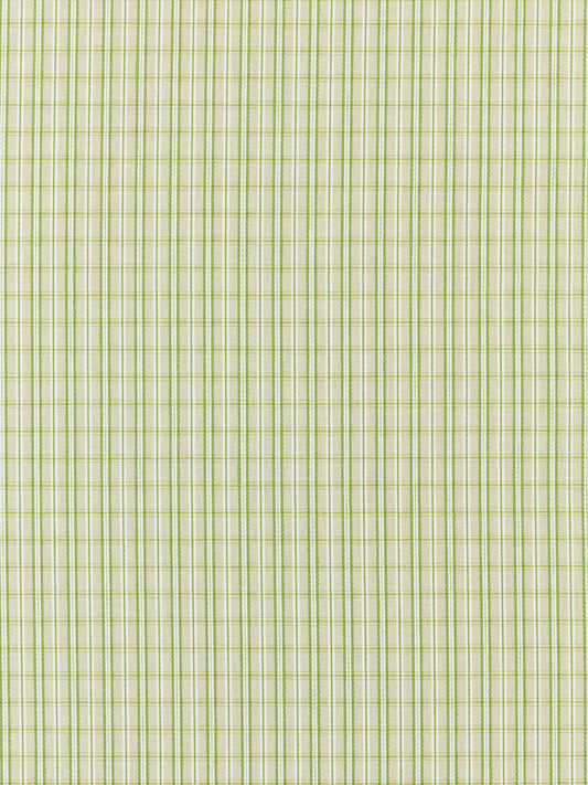 SCALAMANDRE  CHECK PLEASE - OUTDOOR FABRIC FERN   - SC 000327318