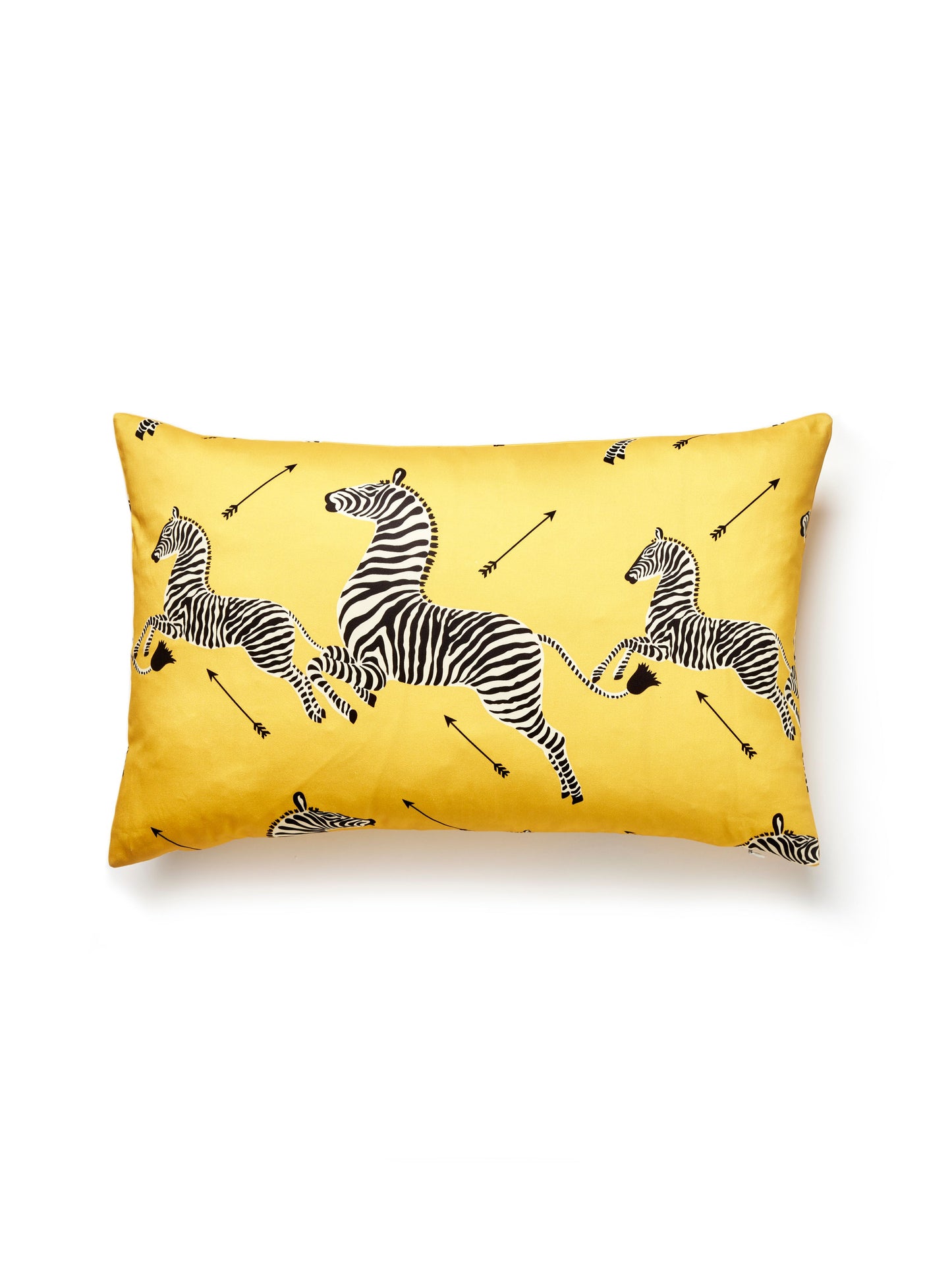 SCALAMANDRE PILLOWS   BIRD / ANIMAL 
GRAPHIC LUMBAR    - SC 0003LPZEBPILL