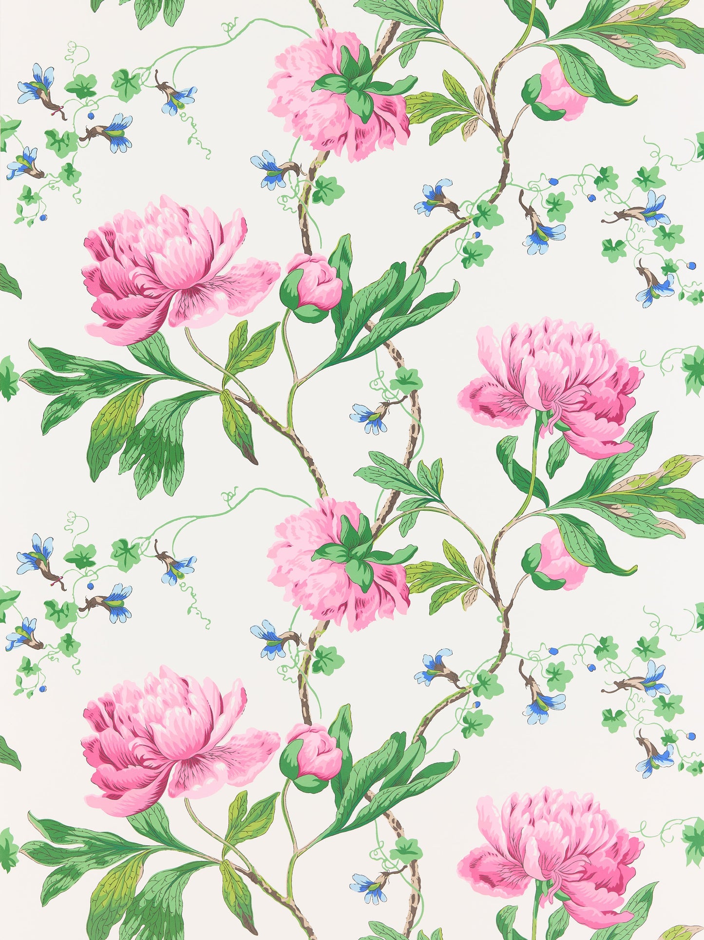 SCALAMANDRE  ISADORA WALLCOVERING FLORAL PETAL   - SC 0003WP88562 NEW SKU # SCWP885620003