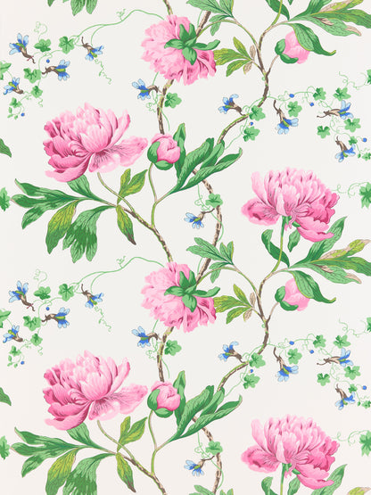 SCALAMANDRE  ISADORA WALLCOVERING FLORAL PETAL   - SC 0003WP88562 NEW SKU # SCWP885620003