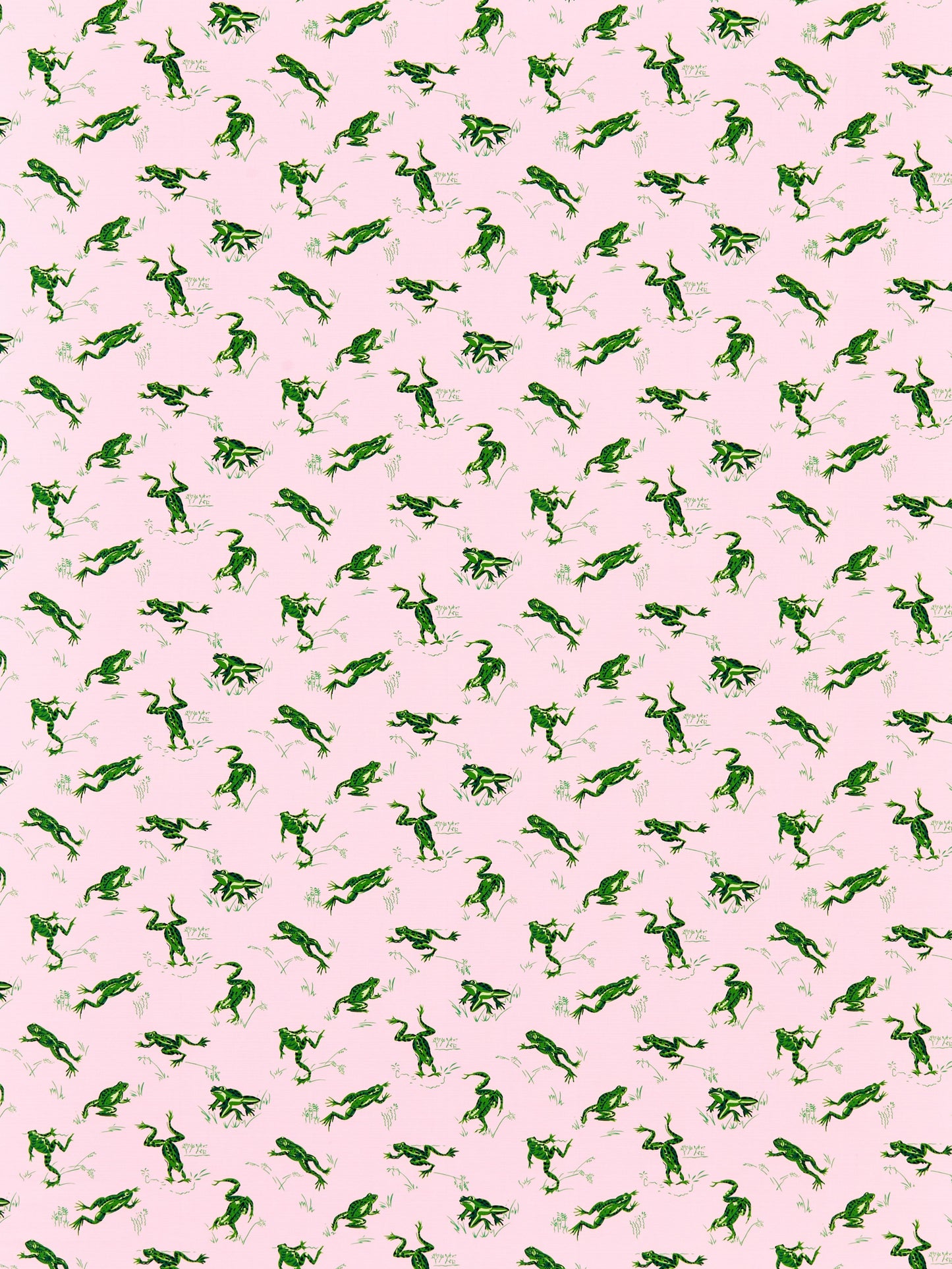 SCALAMANDRE  CALABASAS COUNTY - OUTDOOR FABRIC CAMELIA   - SC 000416426M NEW SKU # SC16426M0004