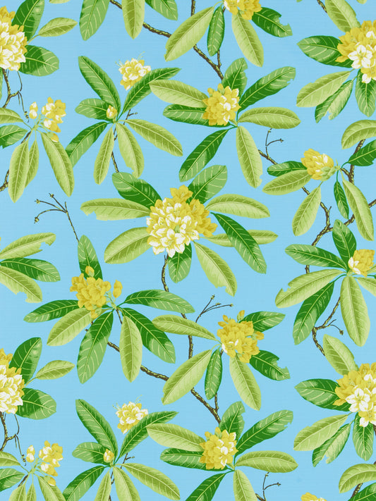 SCALAMANDRE  RHODODENDRON - OUTDOOR FABRIC CAROLINA   - SC 000416454M