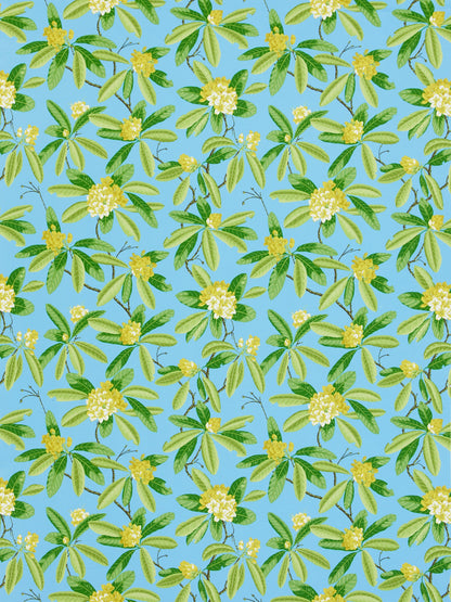 SCALAMANDRE  RHODODENDRON - OUTDOOR FABRIC CAROLINA   - SC 000416454M NEW SKU # SC16454M0004