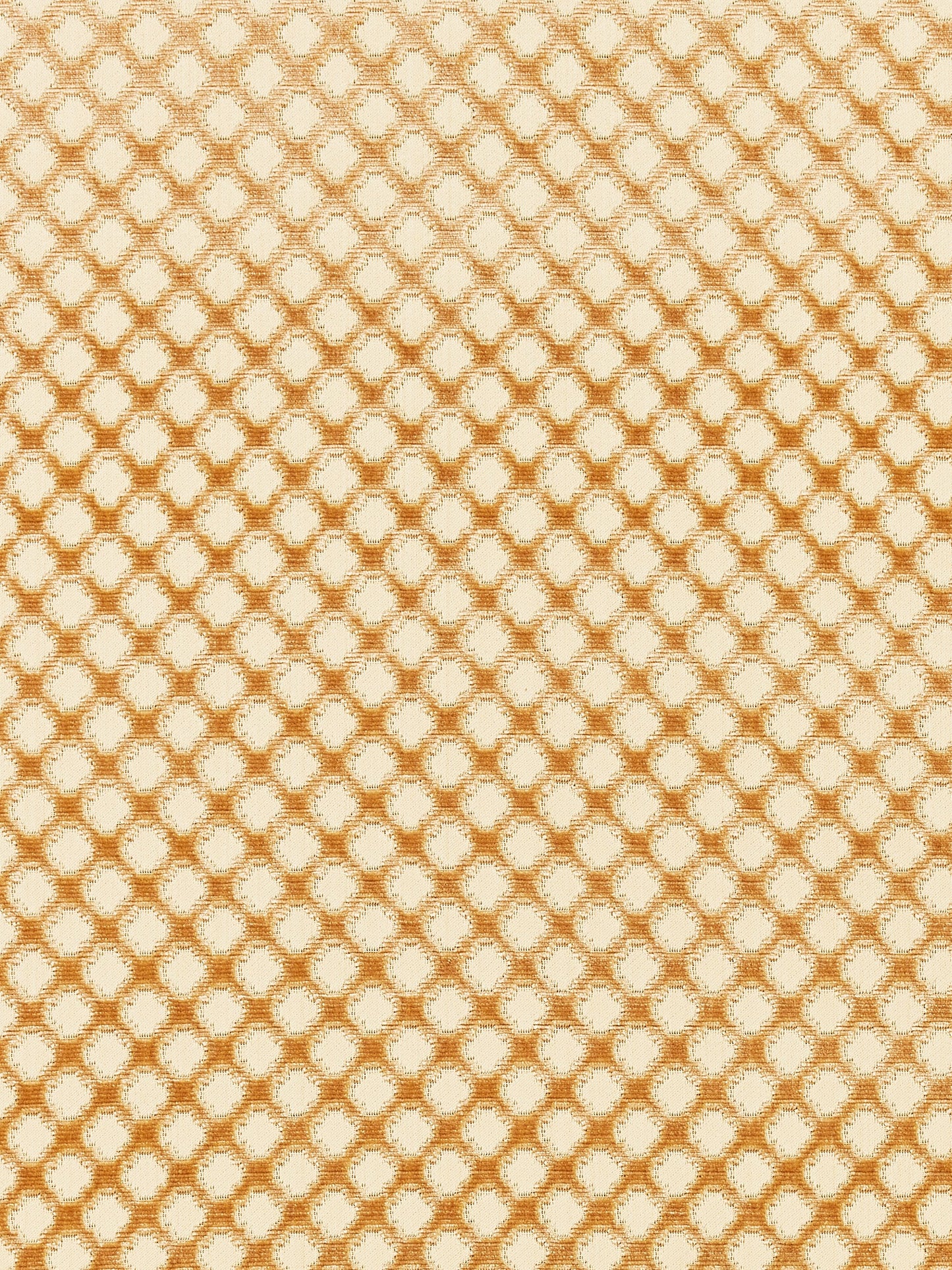 SCALAMANDRE  POMFRET - SILK FABRIC COFFEE ON BEIGE   - SC 000426692