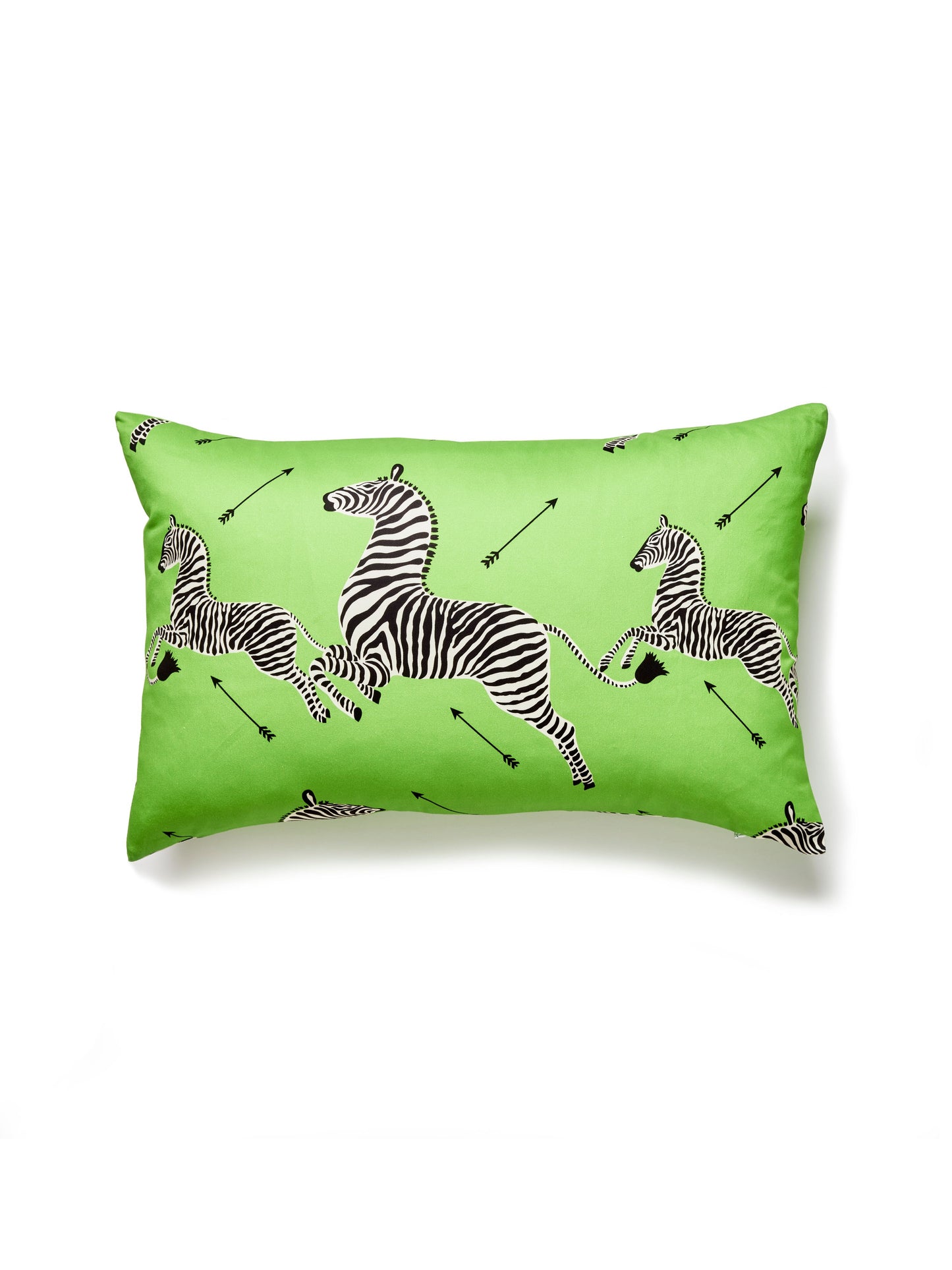 SCALAMANDRE PILLOWS   BIRD / ANIMAL 
GRAPHIC LUMBAR    - SC 0004LPZEBPILL