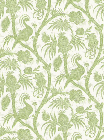 SCALAMANDRE  BALINESE PEACOCK BIRD , ANIMAL 
BOTANICAL , FOLIAGE PEAR   - SC 0004WP88355 NEW SKU # SCWP883550004