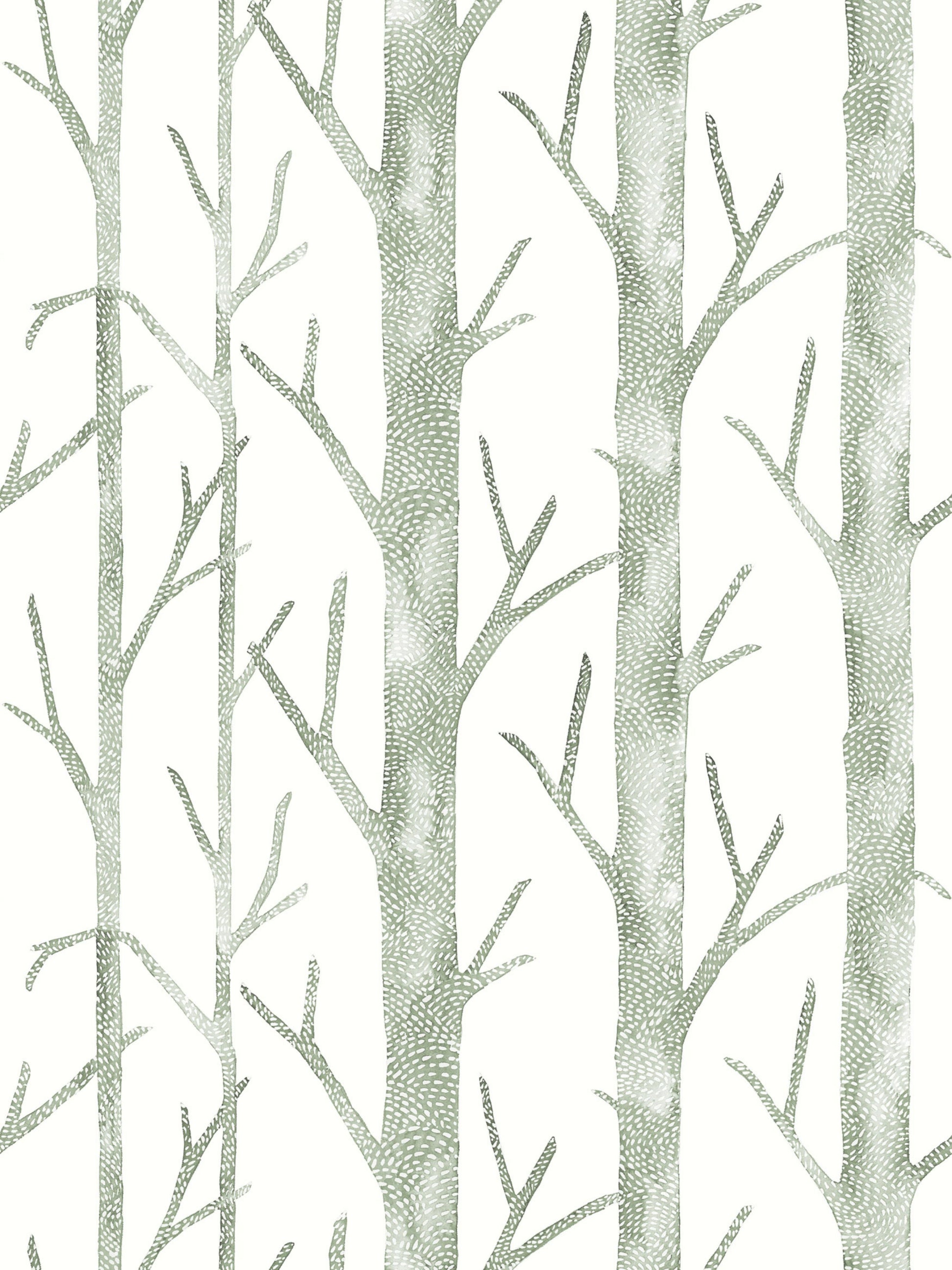 Pale green birch tree pattern wallpaper with slender trunks and branching limbs on white background.