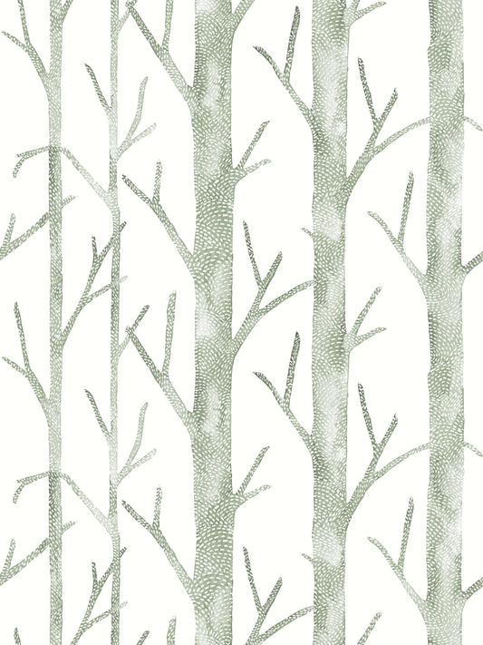 Pale green birch tree pattern wallpaper with slender trunks and branching limbs on white background.