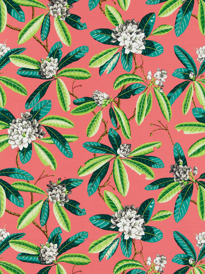 SCALAMANDRE  RHODODENDRON - OUTDOOR FABRIC FLAMINGO   - SC 000516454M NEW SKU # SC16454M0005