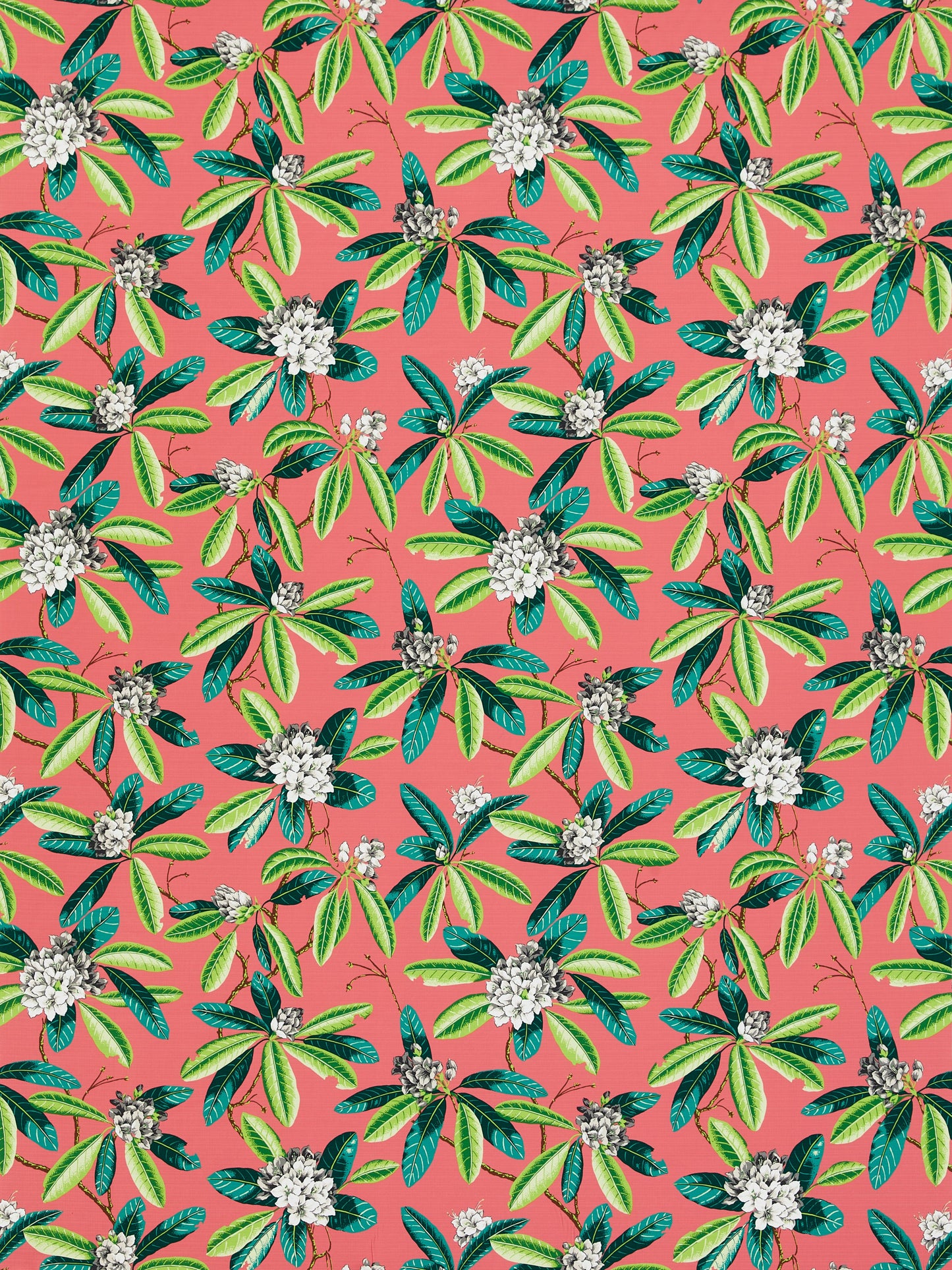 SCALAMANDRE  RHODODENDRON - OUTDOOR FABRIC FLAMINGO   - SC 000516454M NEW SKU # SC16454M0005