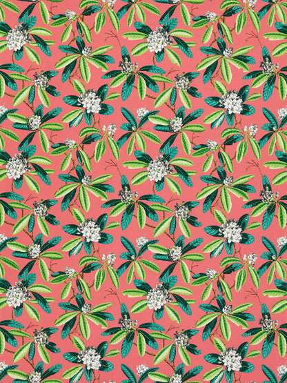 SCALAMANDRE  RHODODENDRON - OUTDOOR FABRIC FLAMINGO   - SC 000516454M NEW SKU # SC16454M0005