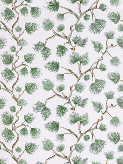 SCALAMANDRE  PIGNOLI WALLCOVERING BOTANICAL , FOLIAGE FERN   - SC 0005WP88593D NEW SKU # SCWP88593D0005