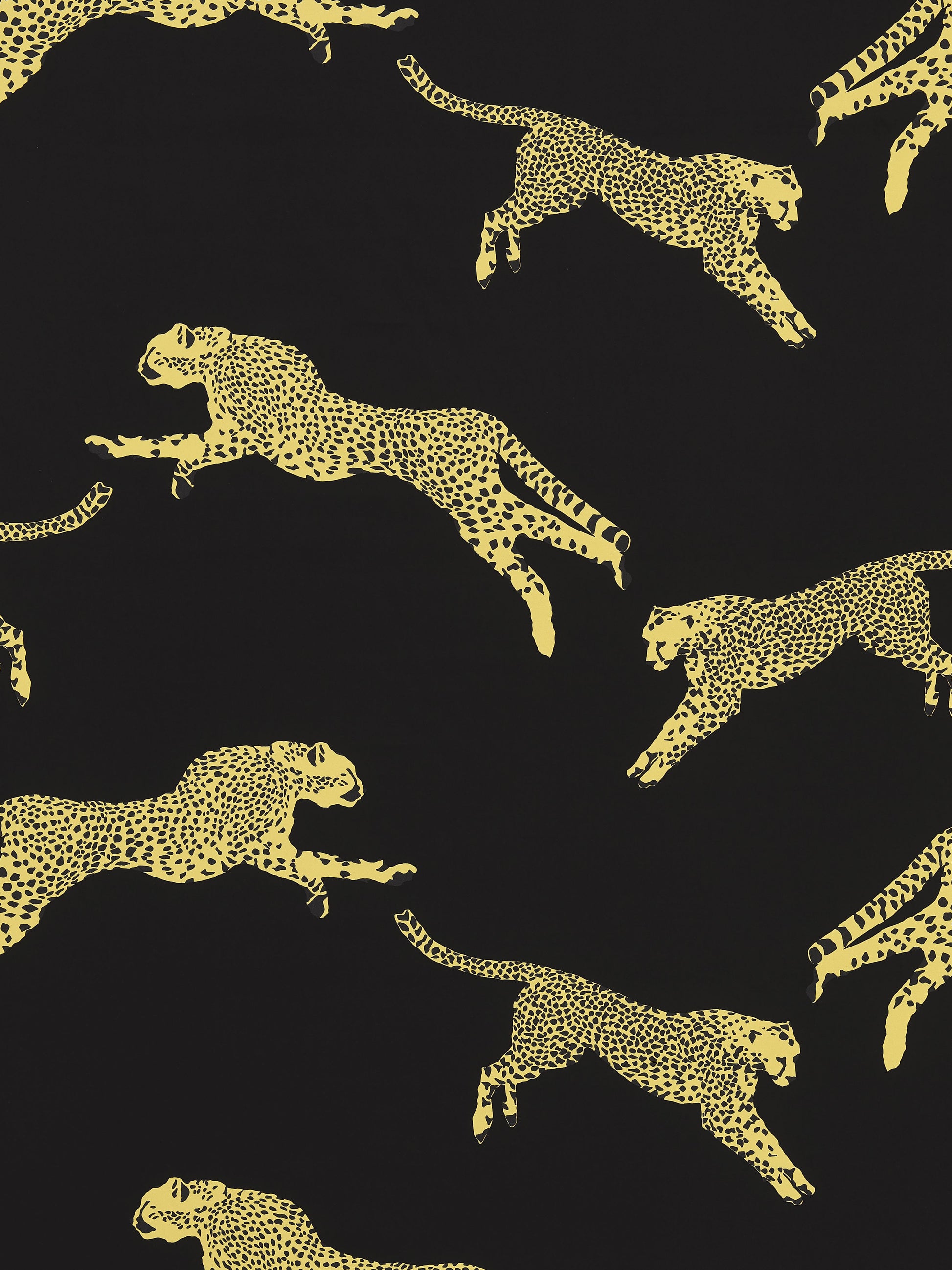 SCALAMANDRE  LEAPING CHEETAH COTTON PRINT FABRIC BLACK MAGIC   - SC 000616634