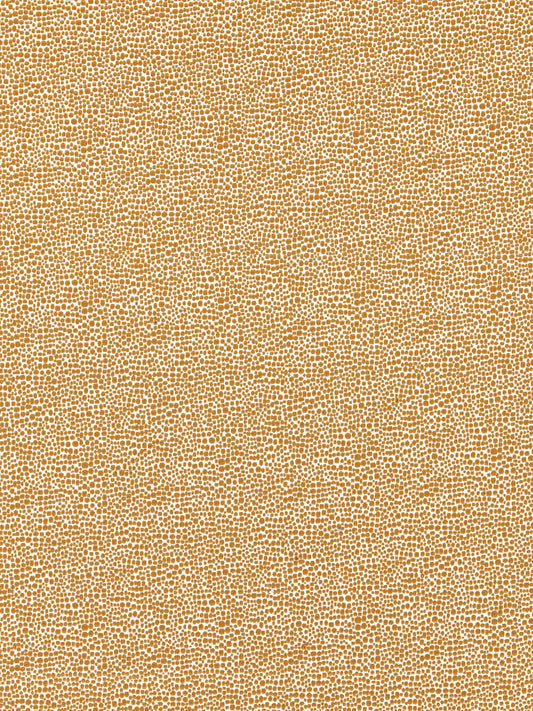 SCALAMANDRE  SHAGREEN FABRIC BEIGE   - SC 000626914M