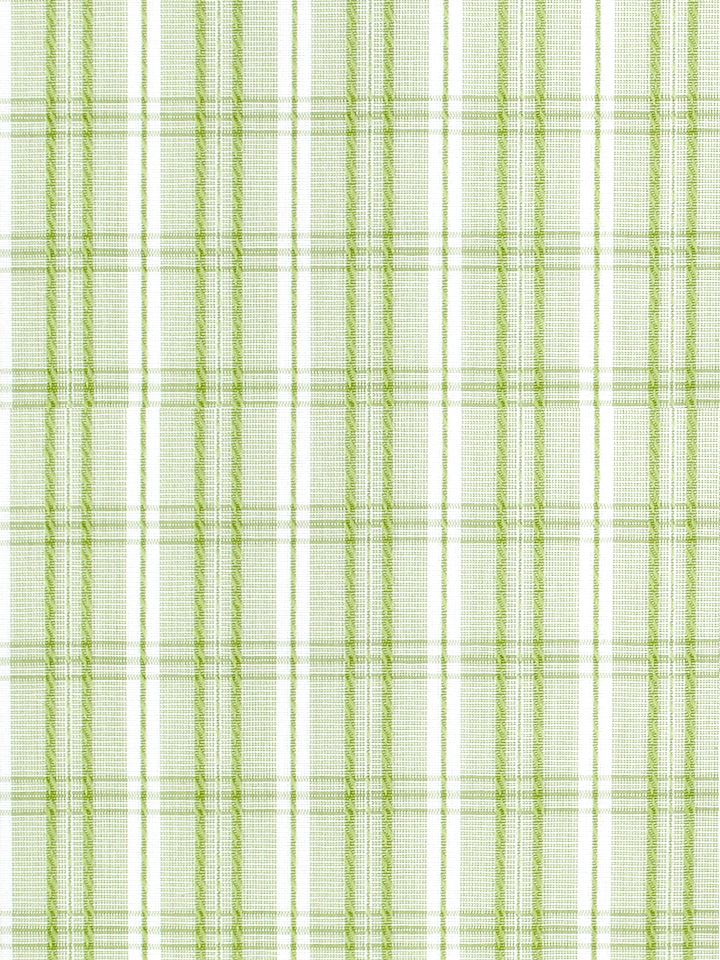 SCALAMANDRE OUTLET  FABRIC CHECK PLEASE  FABRIC LIME   - SC 000636364