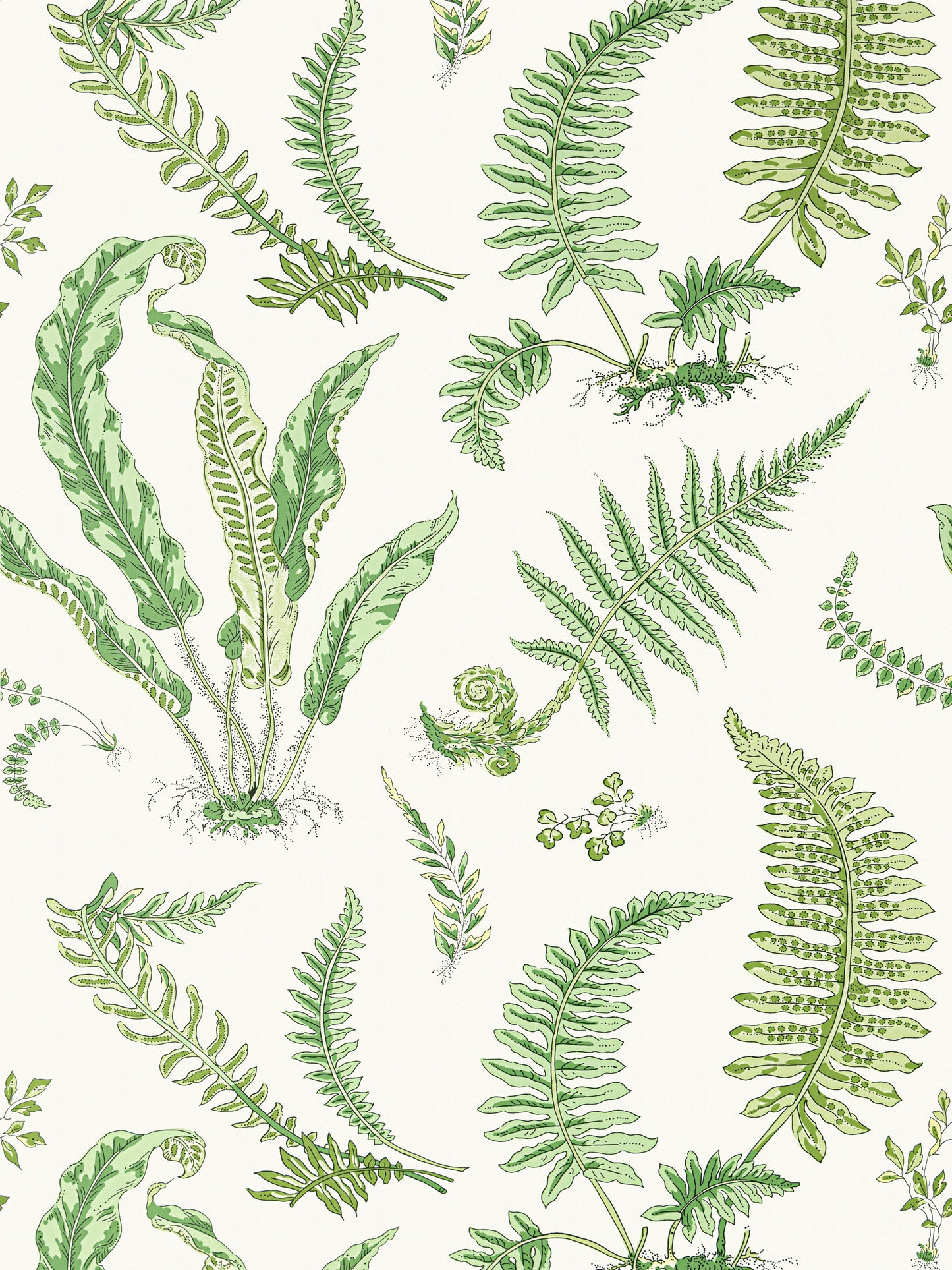 SCALAMANDRE  ELSIE DE WOLFE WALLCOVERING BOTANICAL , FOLIAGE FERN   - SC 0006WP88592D NEW SKU # SCWP88592D0006