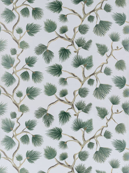 SCALAMANDRE  PIGNOLI WALLCOVERING BOTANICAL , FOLIAGE EVERGREEN   - SC 0006WP88593D NEW SKU # SCWP88593D0006