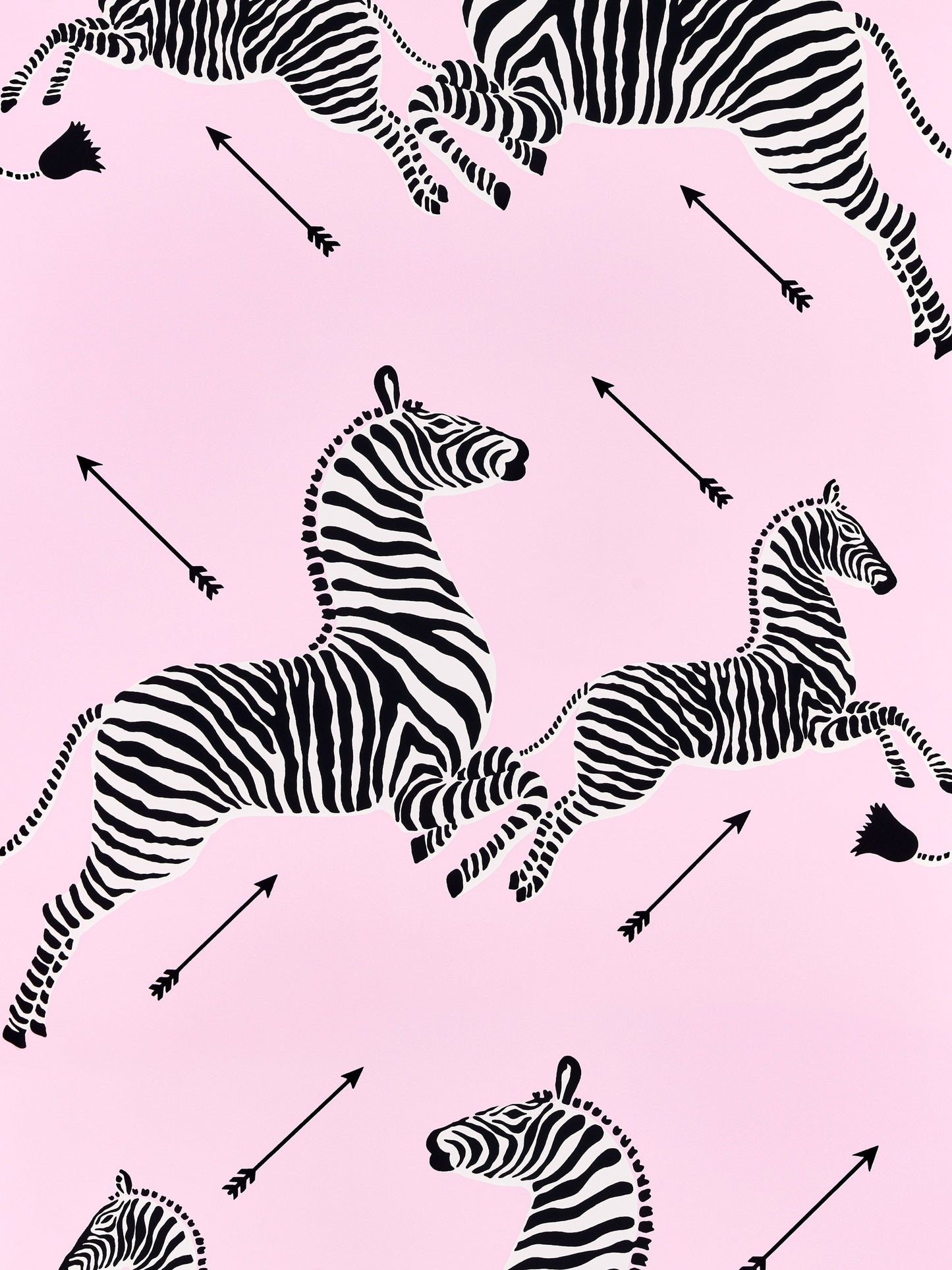 SCALAMANDRE  ZEBRAS - WALLPAPER BIRD , ANIMAL 
CHILDREN DAHLIA   - SC 0014WP81388M NEW SKU # SCWP81388M0014