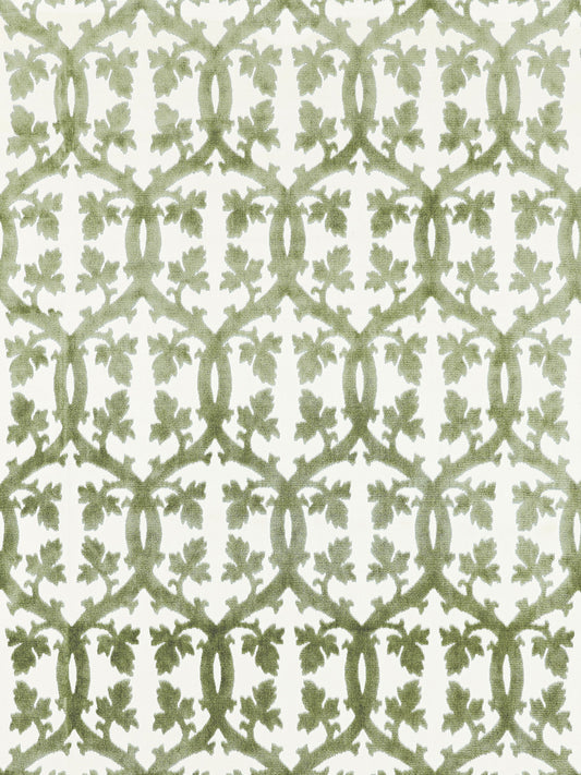 SCALAMANDRE  FALK MANOR HOUSE FABRIC GREEN TEA   - SC 001626690M