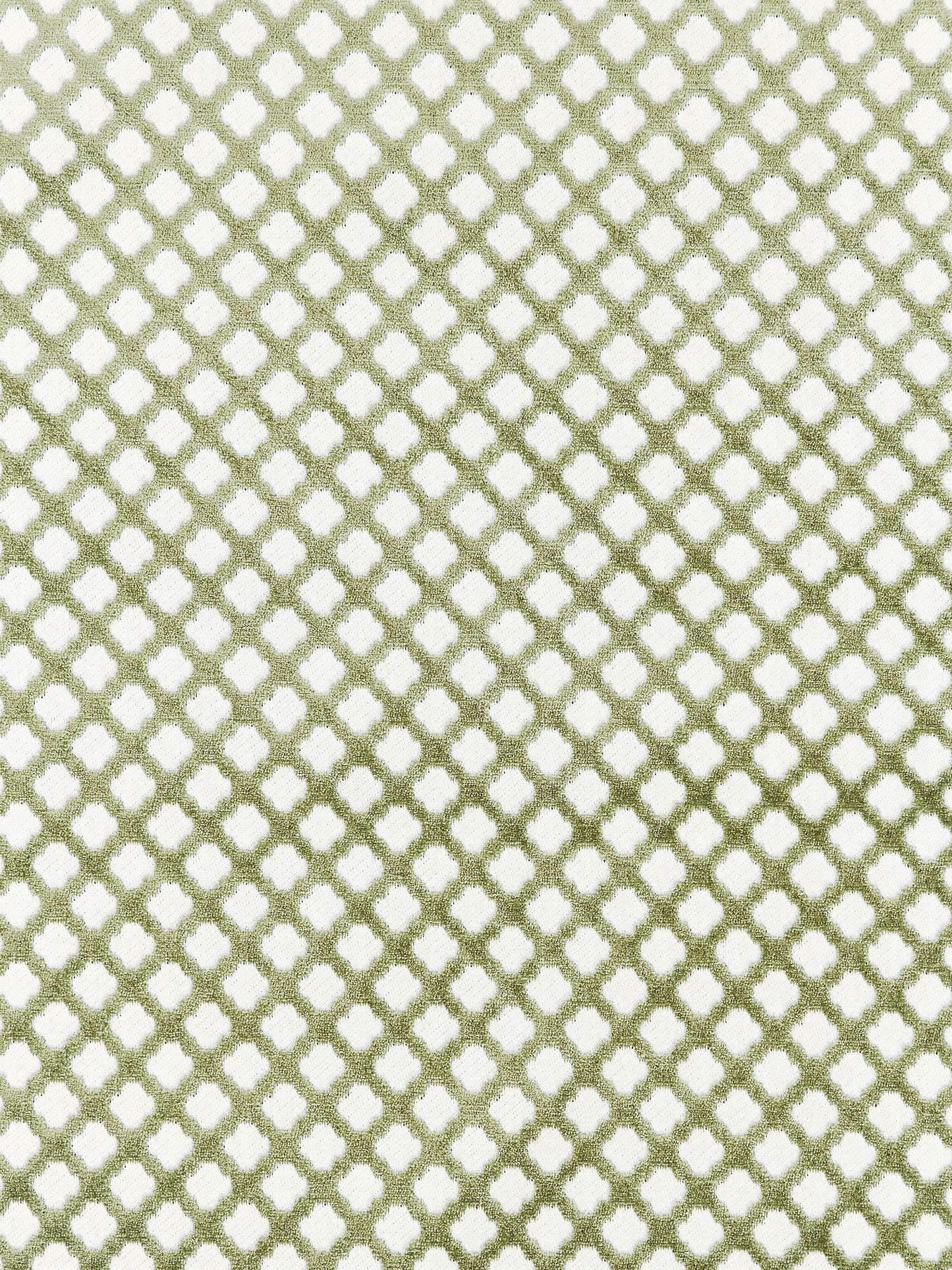 SCALAMANDRE  POMFRET FABRIC GREEN TEA   - SC 001726692M