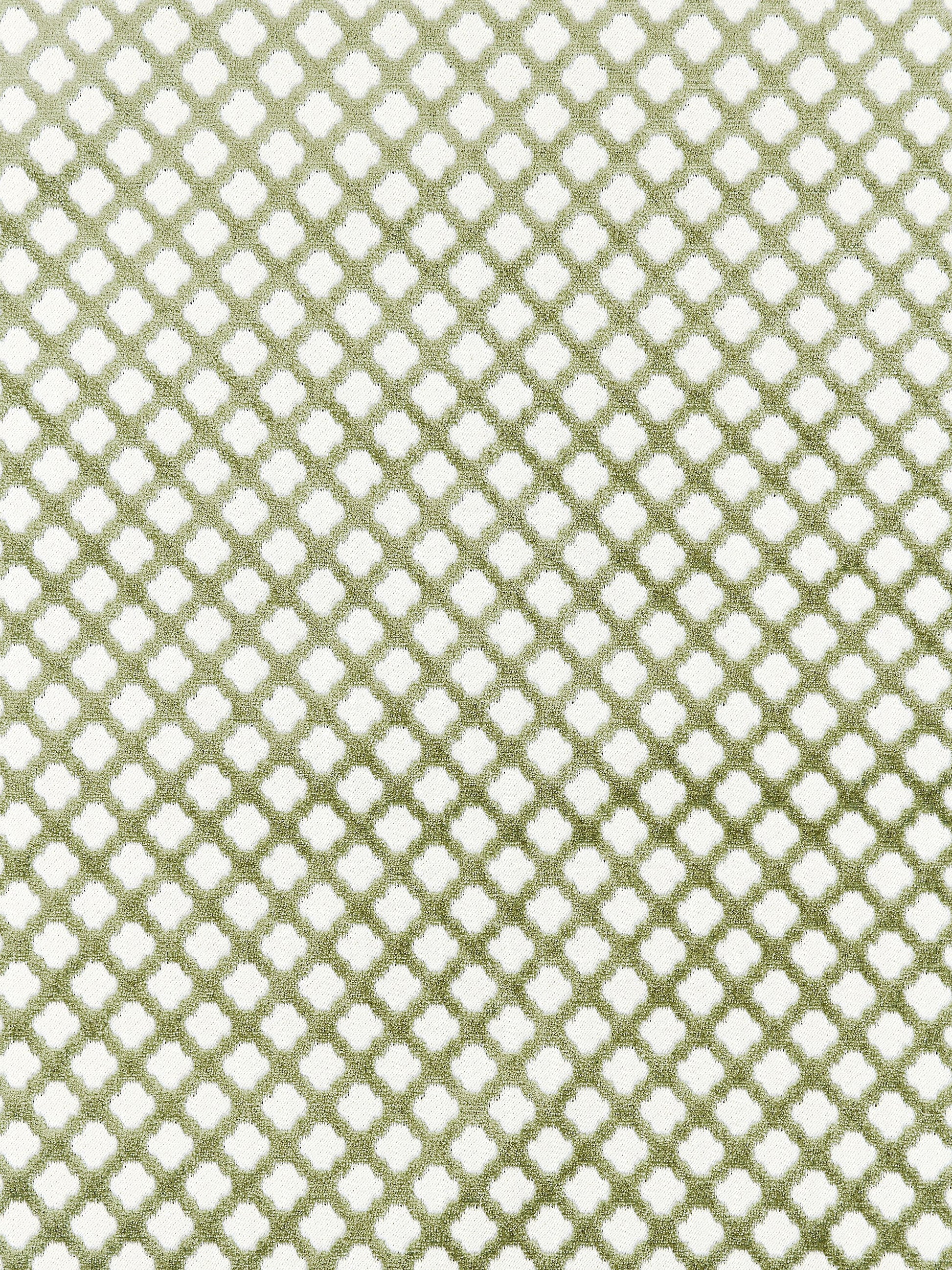 SCALAMANDRE  POMFRET FABRIC GREEN TEA   - SC 001726692M