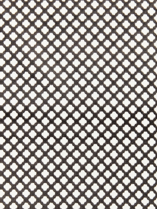 SCALAMANDRE  POMFRET FABRIC CARBON   - SC 001926692M