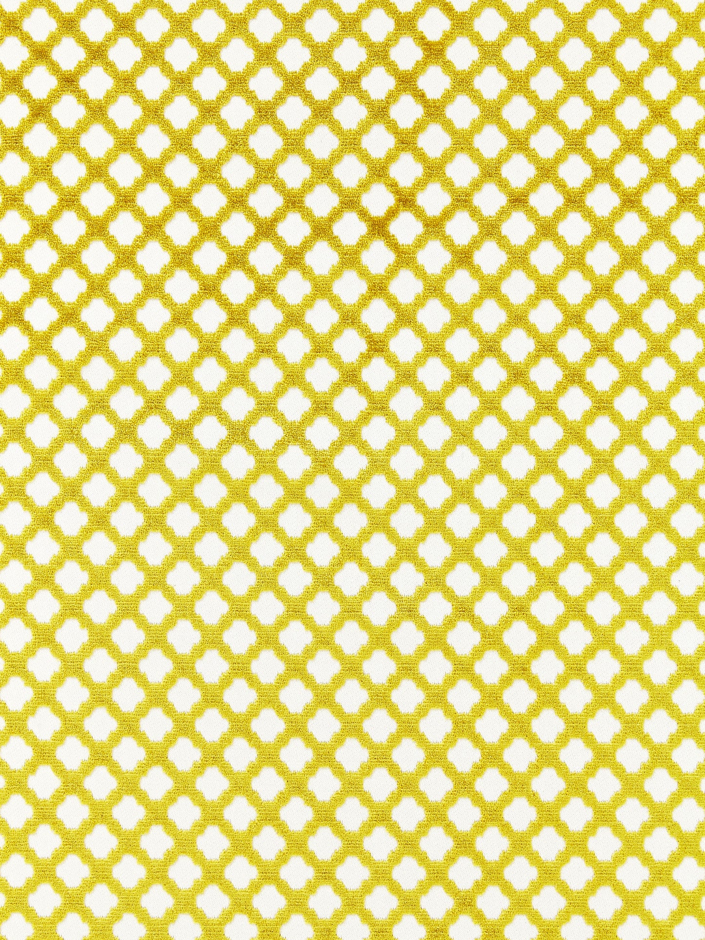 Bright yellow fabric & white repeating quatrefoil lattice pattern.
