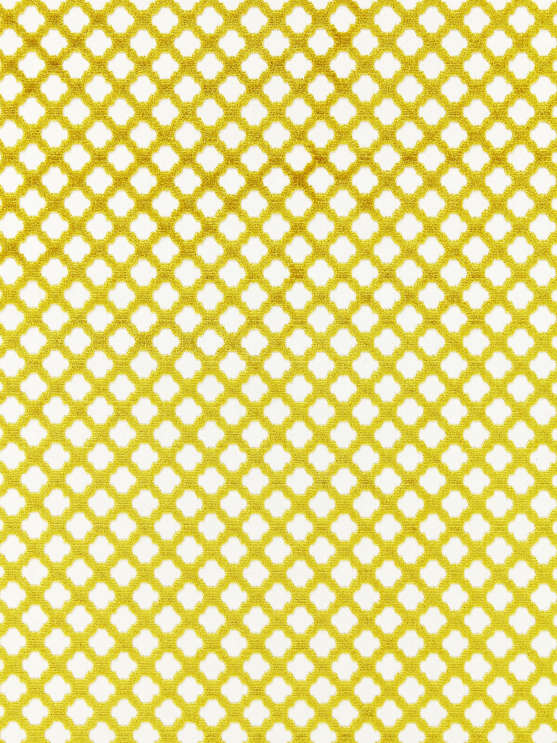 Bright yellow fabric & white repeating quatrefoil lattice pattern.