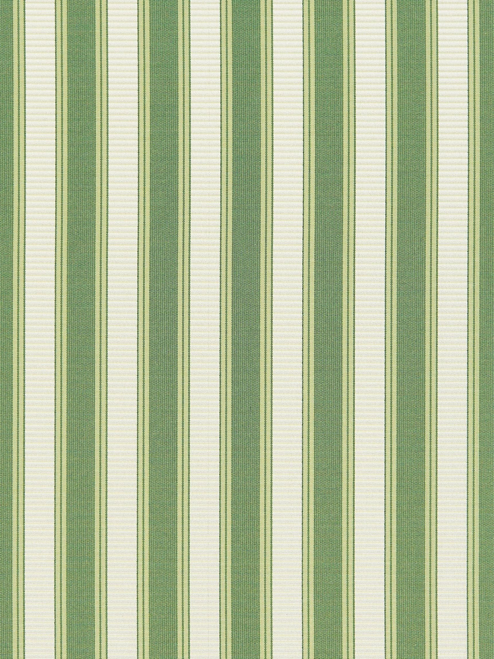 SCALAMANDRE  SHIRRED STRIPE FABRIC BONSAI   - SC 0030121M