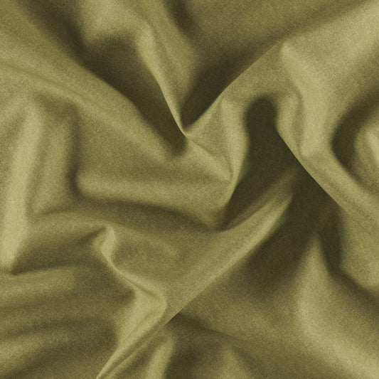 JF Fabrics JF Everyday, FibreGuard SEDONA 75 Fabric Traditional,Transitional,Contemporary,Plain Green  Texture,Linen Texture - 8158975 J8681