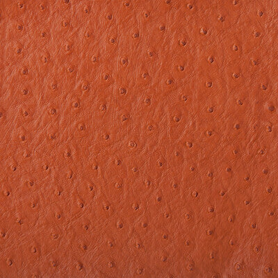 KRAVET DESIGN VINYL/FAUX LEATHER  RUST,RUST,   - SENNA.124.0