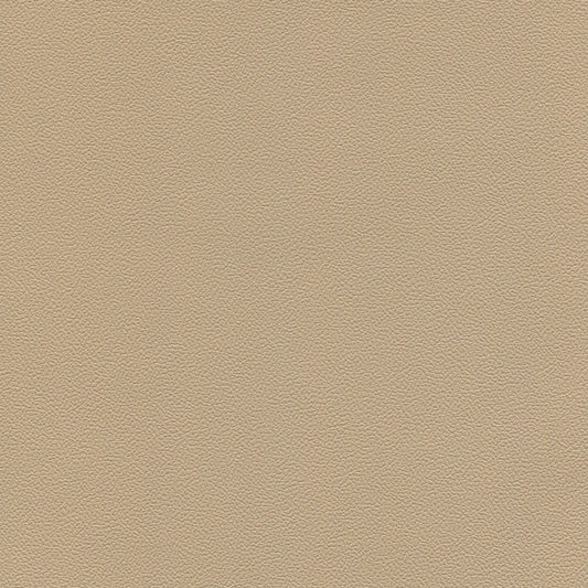 NICHOLASJOHN INC NJ-HOHO Beige Solid   Fabric - NJ25-3075