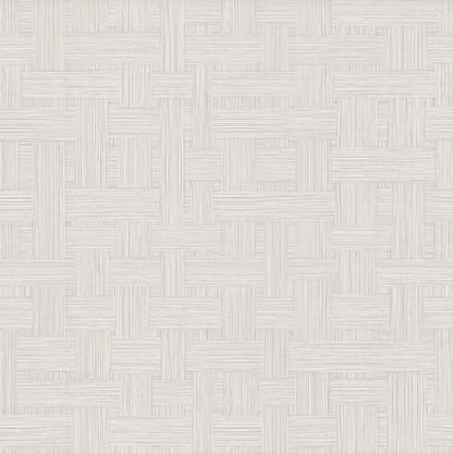 Light gray basketweave textured pattern with interlocking rectangular panels, ideal for wallpaper or upholstery.