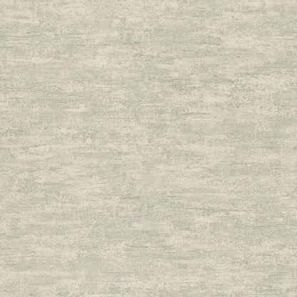 Beige-gray mottled textured surface with subtle horizontal brush-stroke pattern.