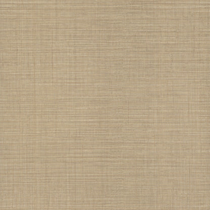 York Wallcoverings York Wallcoverings Lotus Silk Hazelnut Wallpaper Weaves Traditional Hazelnut  Wallpaper - SI25876