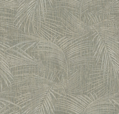 York Wallcoverings York Wallcoverings Della Palm Dark Taupe Wallpaper Bohemian Tropical Dark Taupe  Wallpaper - SI50612